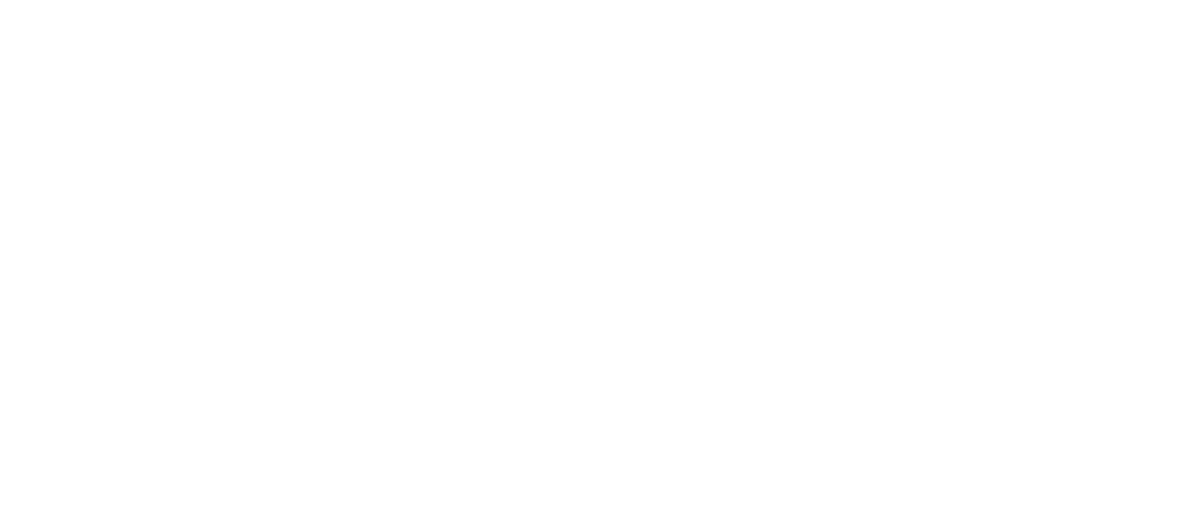 Nord Bridges Global
