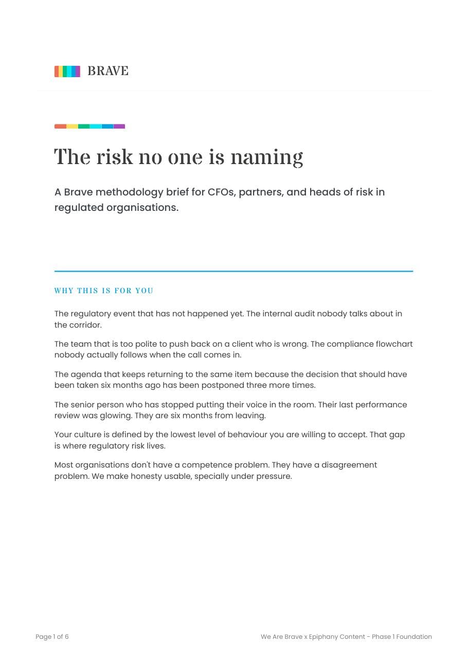 First page of the brief for leaders in regulated firms, The risk no one is naming